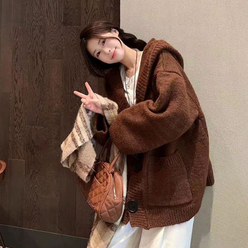 Idle Style Hooded Outer Wear Loose Soft Glutinous Sweater