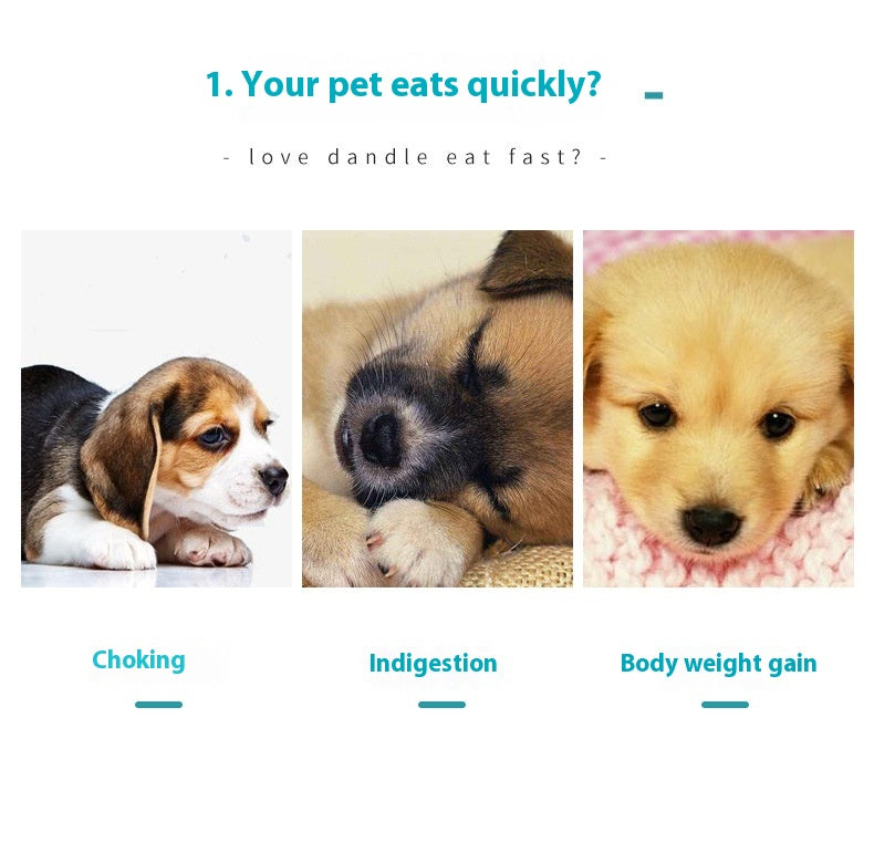 Anti-kvælnings madskål til langsom fodring af kæledyr