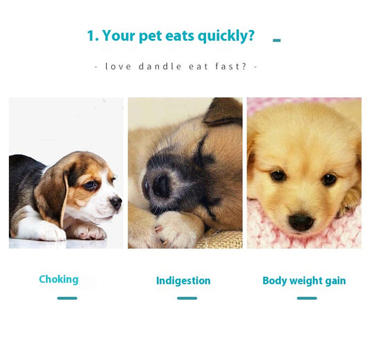 Pet Slow Feeding Bowl Anti-choke Food Bowl