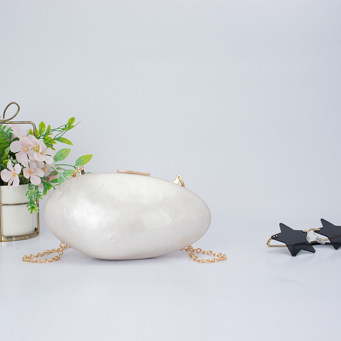 Shell Bag Dinner Wedding Clutch  Acrylic