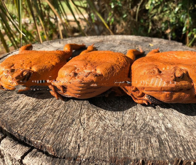 Toad Full Body Wallet Sugar Cane