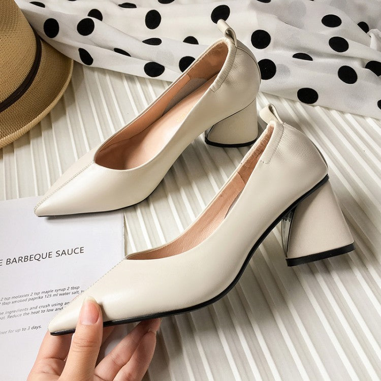 Pointy Toe Comfortable High Heels