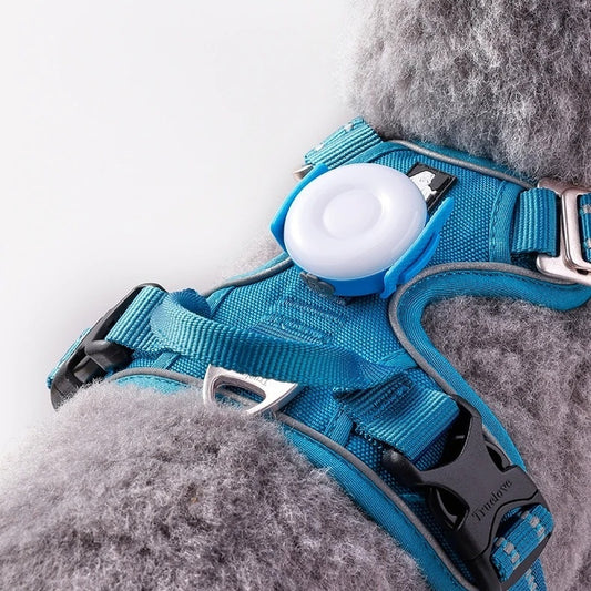 LED Lights Prevent Getting Lost And Emit When Walking A Dog At Night