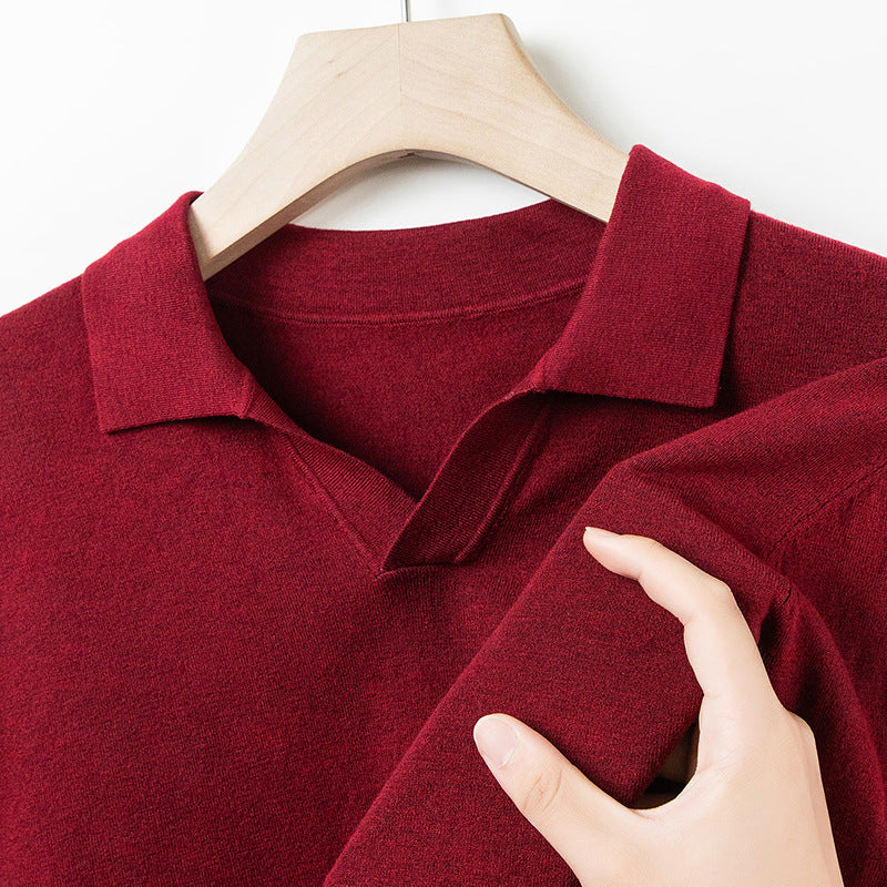 Autumn And Spring Seagull Collar 6 Wool Men's Anti-Pilling Knitted Long Sleeve Polo Shirt