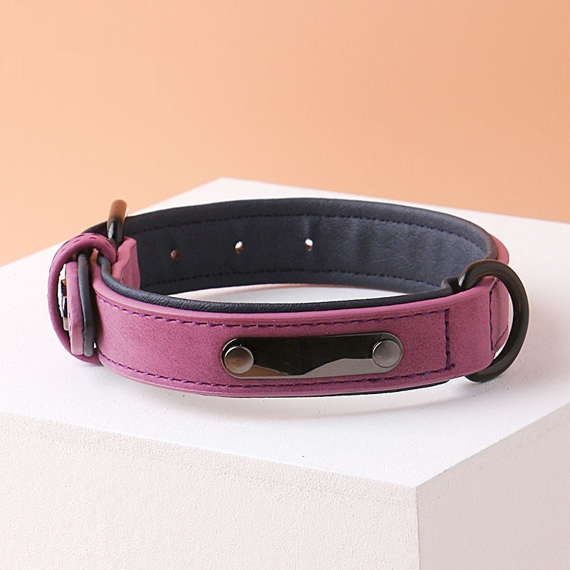 Simple And Portable Anti Loss Adjustable Dog Collar