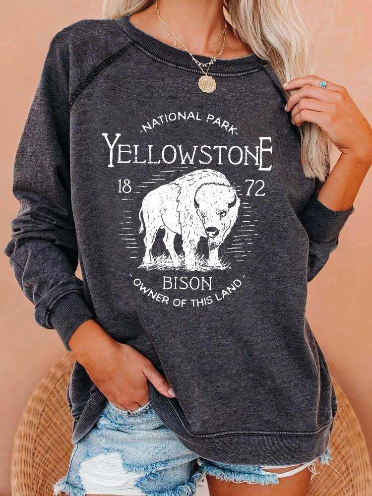 New European And American Personalized Elements Women's Sweater