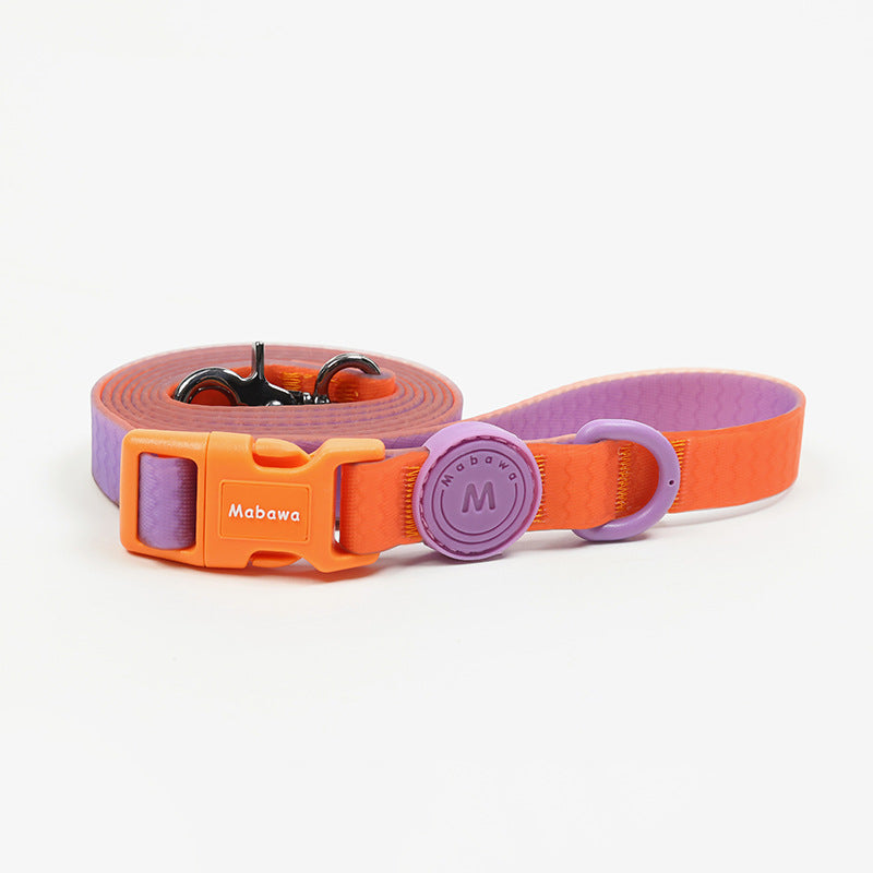 Waterproof Nylon Dog Collar With Traction Rope