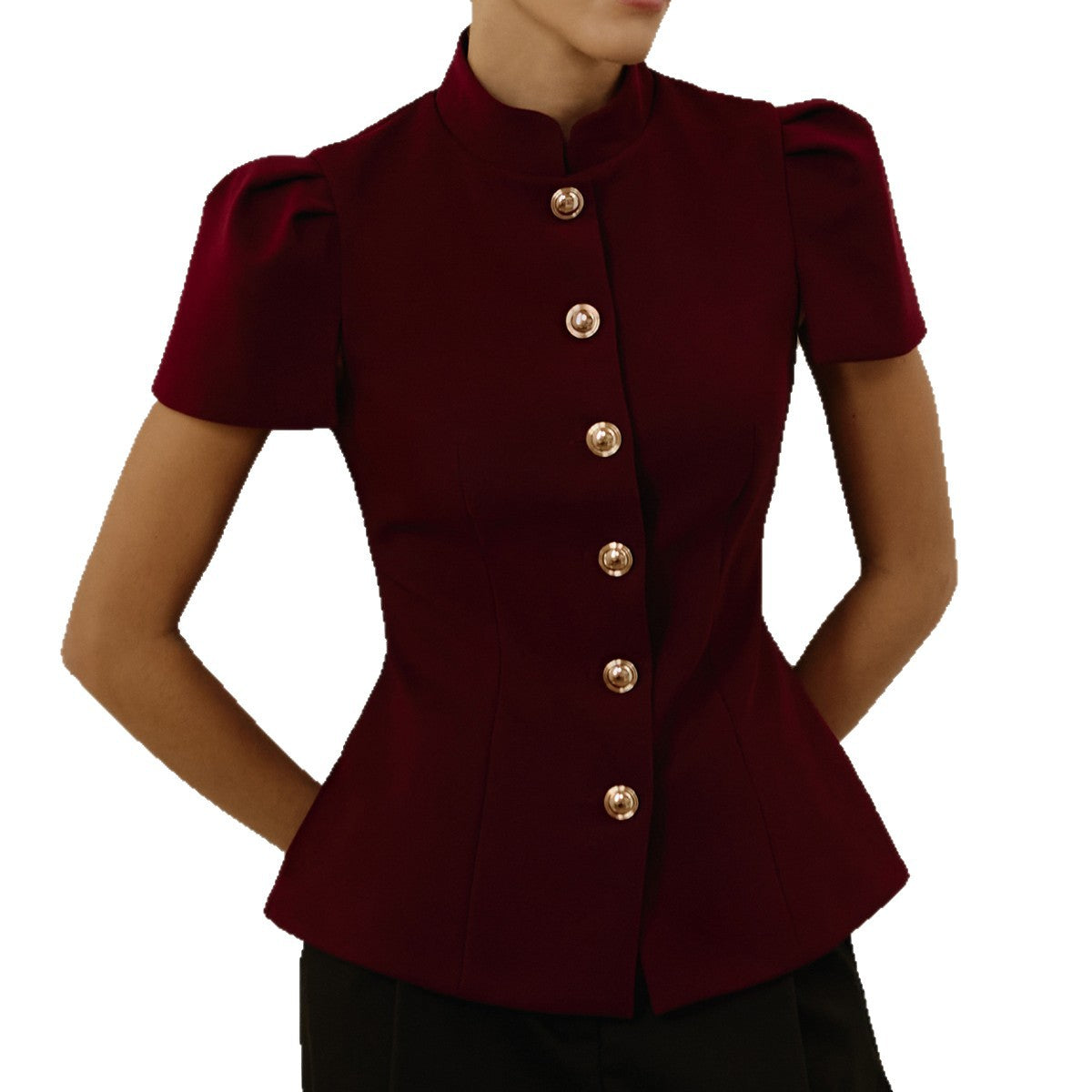 Women's Elegant Stand Collar Lantern Short Sleeves