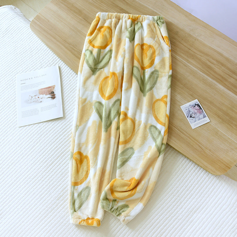 Women's Autumn And Winter Fleece-lined Thick Coral Fleece Warm Pants Flannel Home Pants