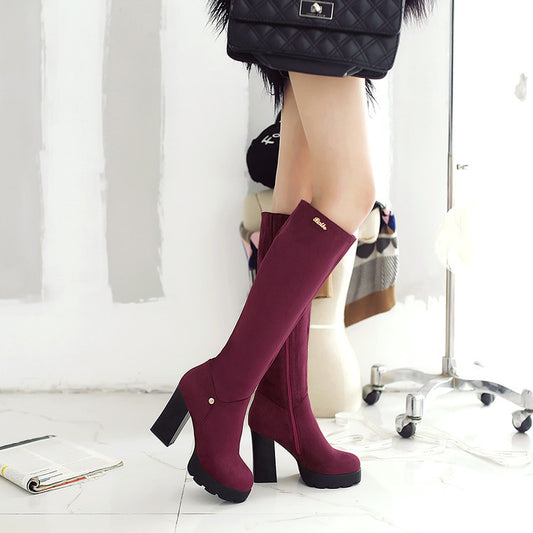 Round Toe Chunky Heel Platform Side Zipper Korean Style Suede Martin Boots