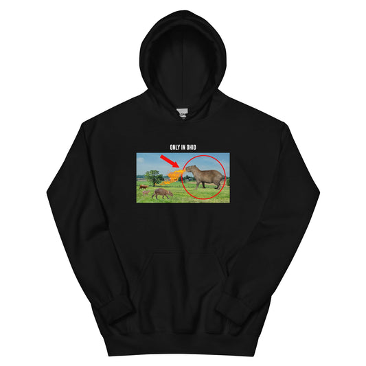 Women's Sleeping Buns Softer Hoodie