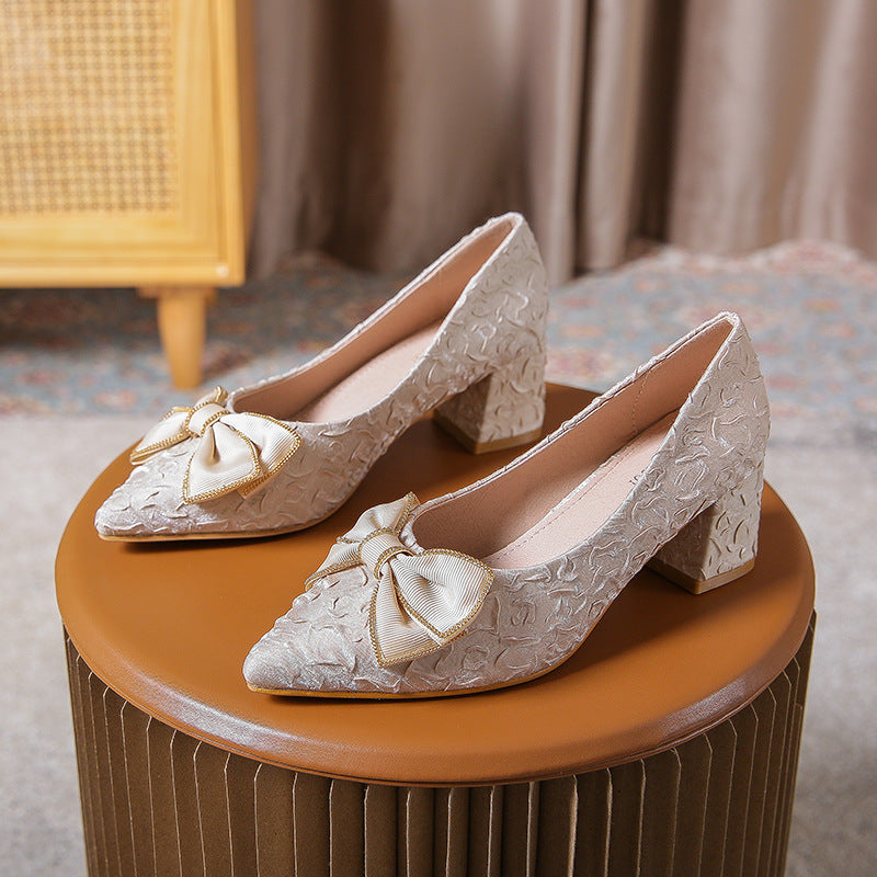 Women's Chunky Heel Pointed Toe Shoes