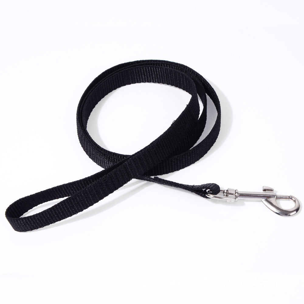 Pet Dog Hand Holding Rope Multicolor Colorful