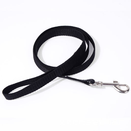 Pet Dog Hand Holding Rope Multicolor Colorful