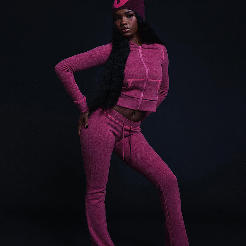 Stylish  Chic Casual Commuter Hoodie And Pants Set For Women