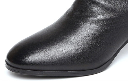 Autumn And Winter Women's Pointed Thick Heel And Fleece Martin Boots