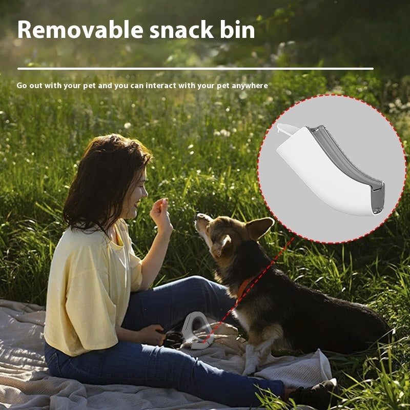 Spotlight Light With Snack Bin Box Pet Leashing Device